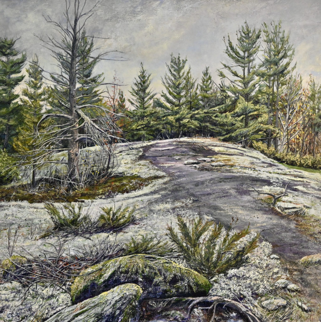 Rocky terrain with moss, sparse vegetation, and evergreen trees under a cloudy sky.