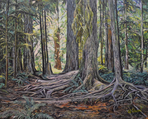 Dense forest with tall trees, thick trunks, exposed roots, ferns, and filtered light.