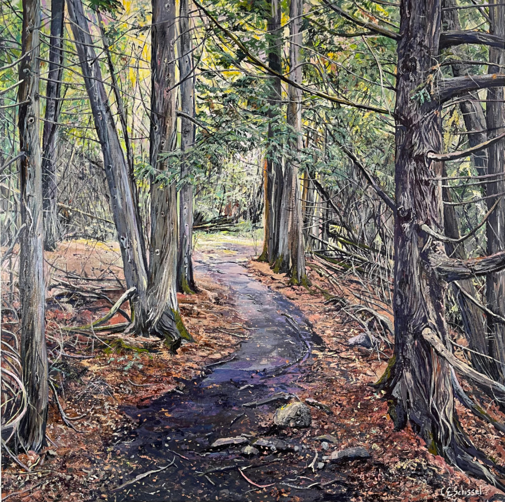 Dirt path through dense forest, tall trees, mixed leaves, fallen foliage, dappled sunlight.