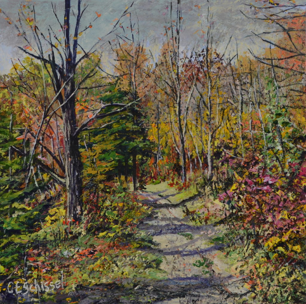 Forest path with autumn trees displaying yellow, orange, red, and green foliage under gray sky.