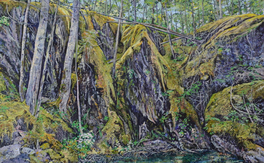 Dense forest; tall trees, rocky mossy cliff, lush vegetation, water reflection in foreground