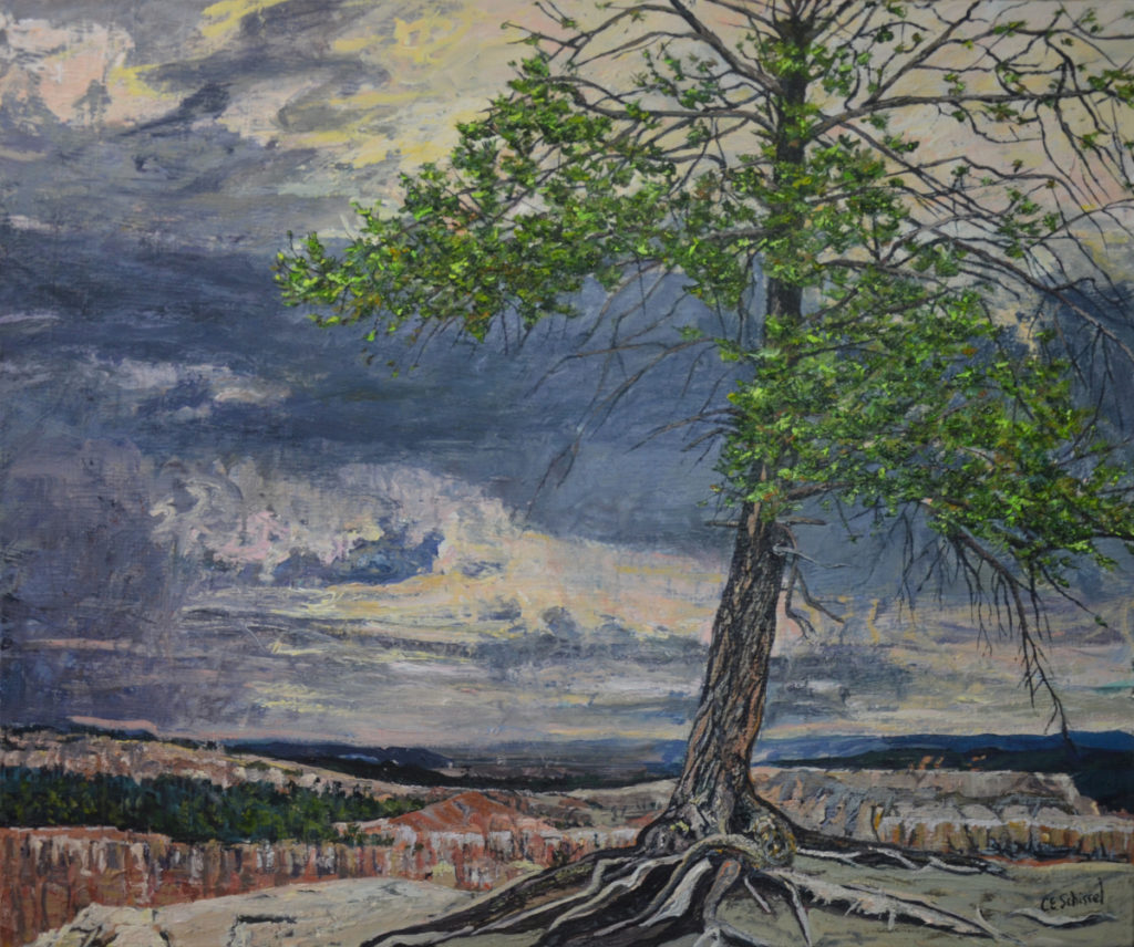 Solitary tree with twisted trunk on rocky terrain, vibrant leaves, dramatic sky, vast landscape.