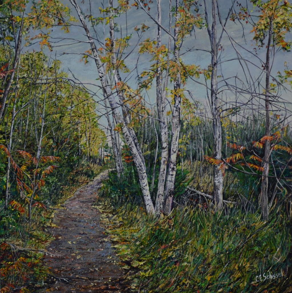 Path through birch forest with green and orange leaves, fallen foliage on ground, cloudy sky.