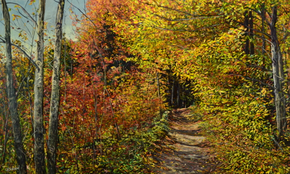 Scenic forest path with vibrant autumn foliage in red, orange, and yellow under a clear sky.