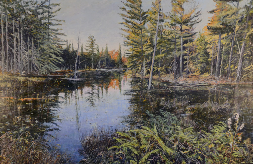 Serene forest landscape with trees and foliage reflected in calm water.