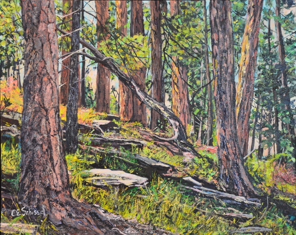 Forest painting with tall trees, green foliage, sunlight filtering through the canopy.