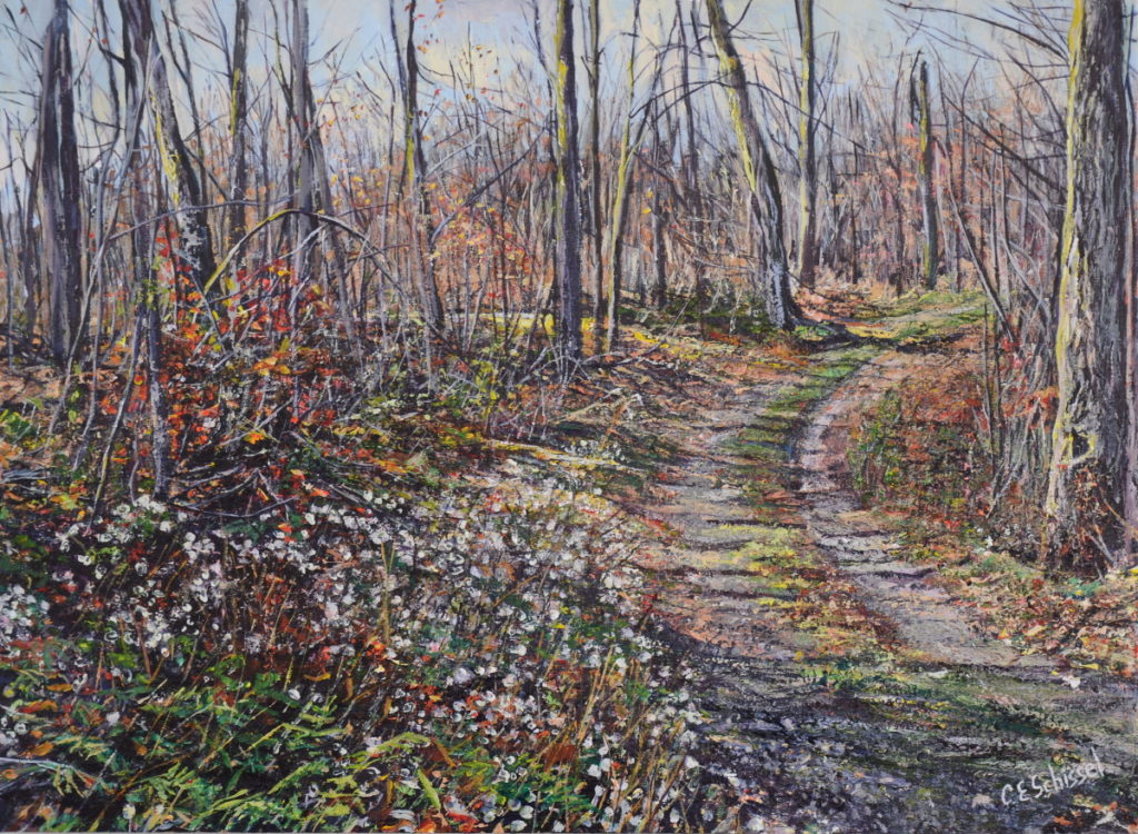 Forest path with bare trees, autumn hues, and dappled sunlight casting shadows.