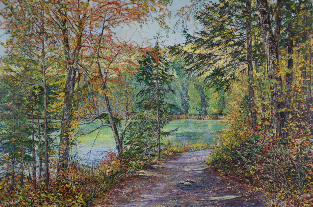 Forest path leading to calm greenish-blue water, surrounded by autumn trees and lush greenery.