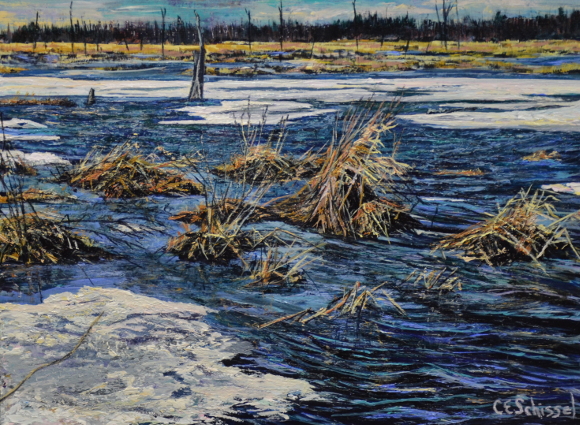 Frozen wetland with ice patches, dried vegetation, and trees under a cloudy sky.