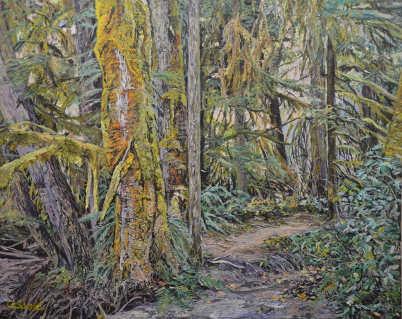 Dense forest with moss-covered trees, rich foliage, and a narrow path through lush undergrowth.