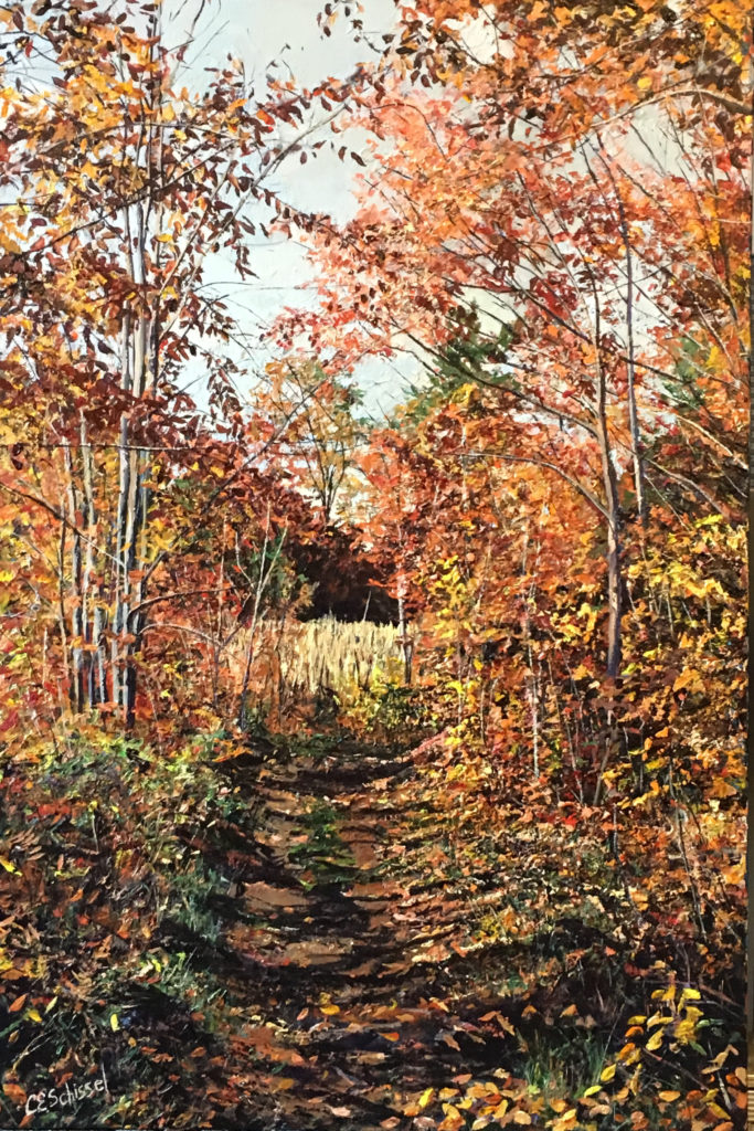Path through an autumn forest with colorful foliage and sunlight filtering through branches.