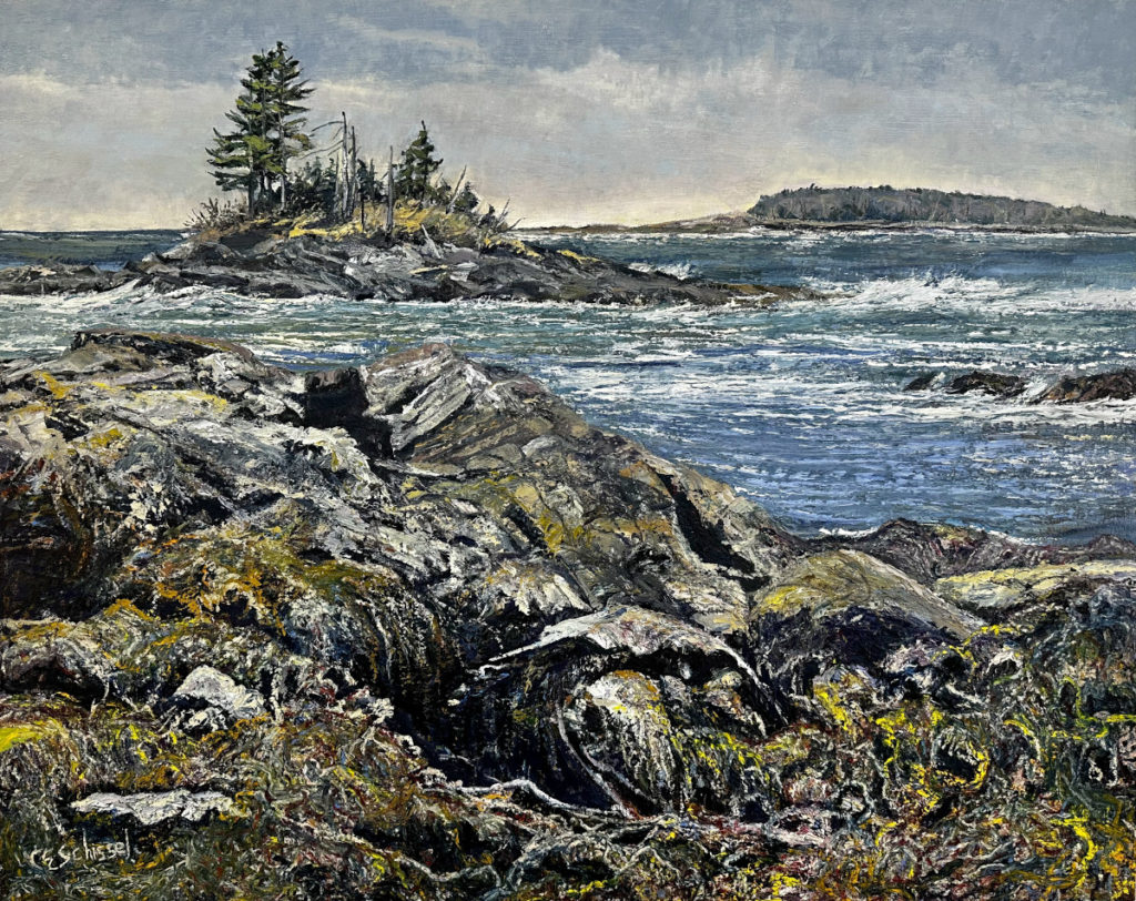 Coastal scene with rocky shores, moss, waves, and tree-covered island under cloudy sky.