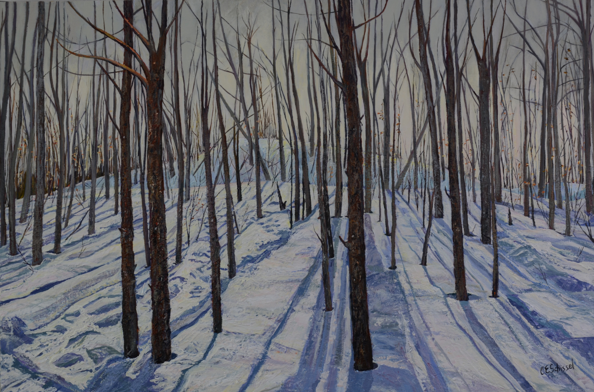 Forest with leafless trees and snow-covered ground under an overcast winter sky.