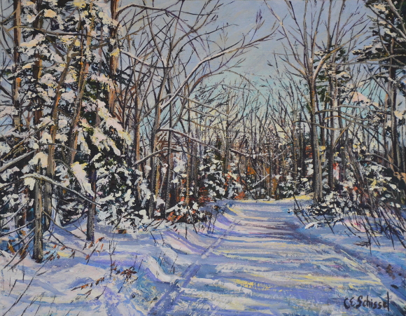 Snowy forest path with bare trees, evergreen branches, and shadows; winter scene, serene sky.