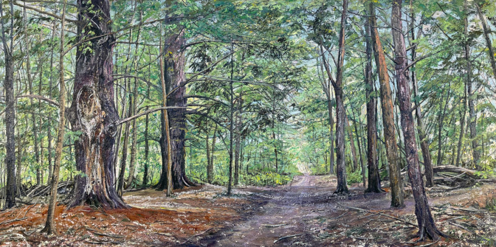 Dense forest with a dirt path, tall trees, lush foliage, and sunlight filtering through leaves.