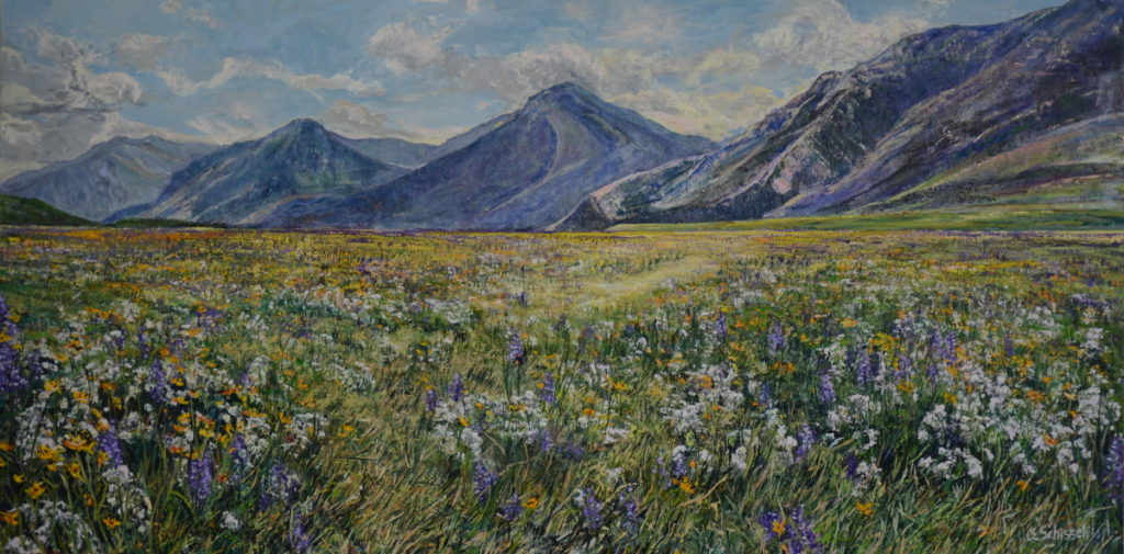 Vibrant meadow with wildflowers and distant mountains under a partly cloudy sky.