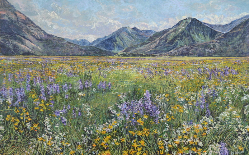 Vast meadow with colorful wildflowers, mountains in background under a partly cloudy sky.