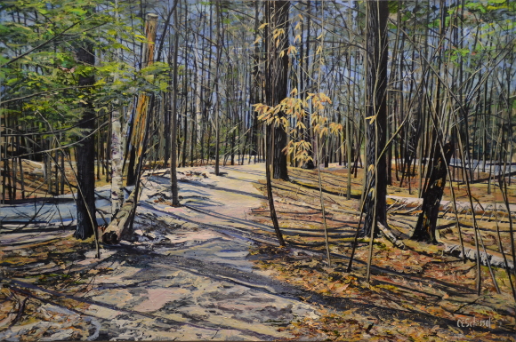 Forest with tall trees, fallen leaves, and sunlight casting shadows; a path runs through the scene.